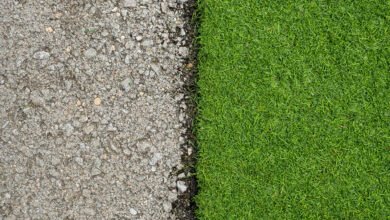 How to Choose Artificial Grass for High-Traffic Garden Areas