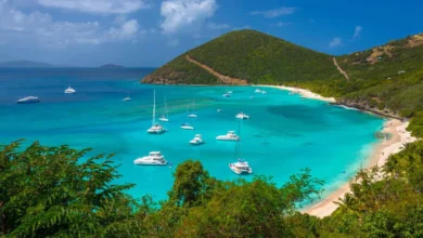 British Virgin Islands Company Registry